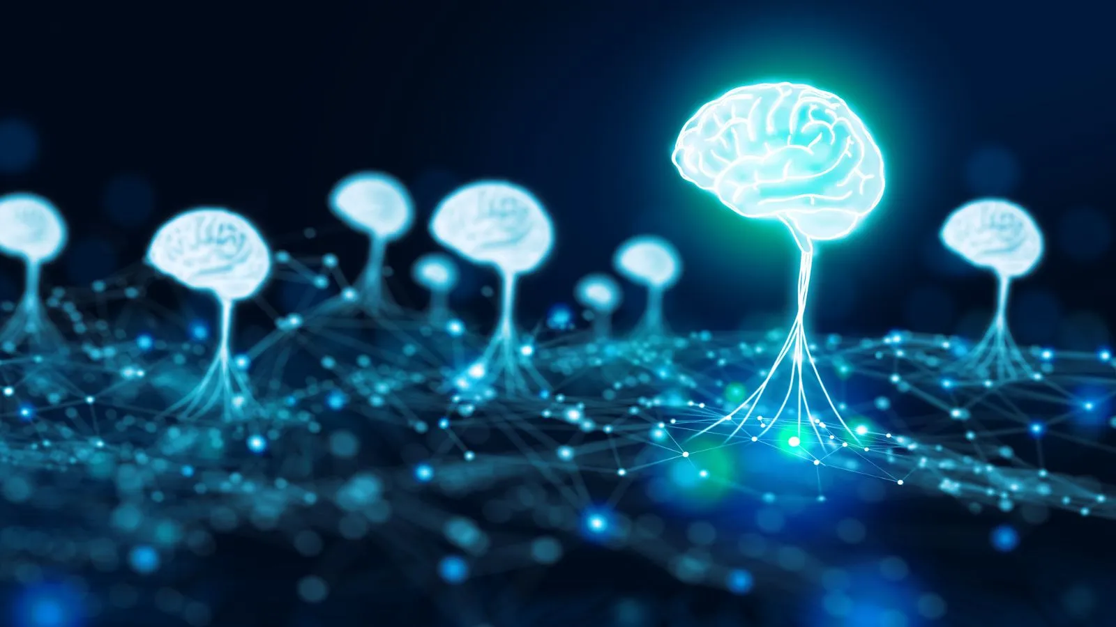 Linguists: The Detectives of Sentiment Analysis