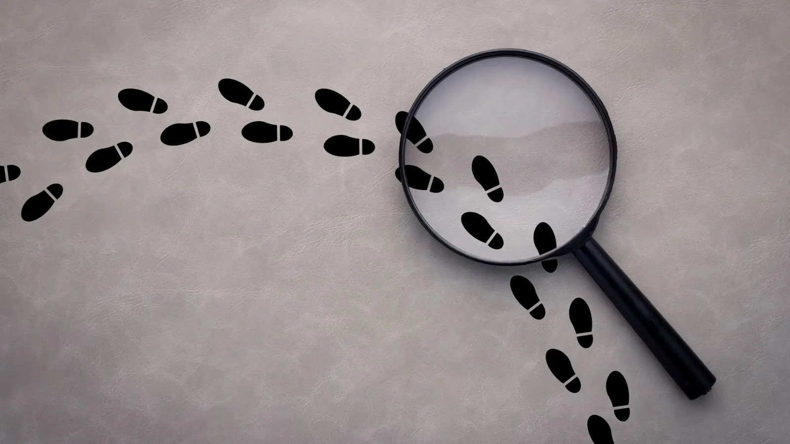 The Adventure of Data Collection